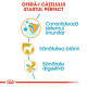 Royal Canin Yorkshire Terrier Puppy – Hrană Uscată pentru Pui de Câine din Rasa Yorkshire Terrier – 1,5 kg